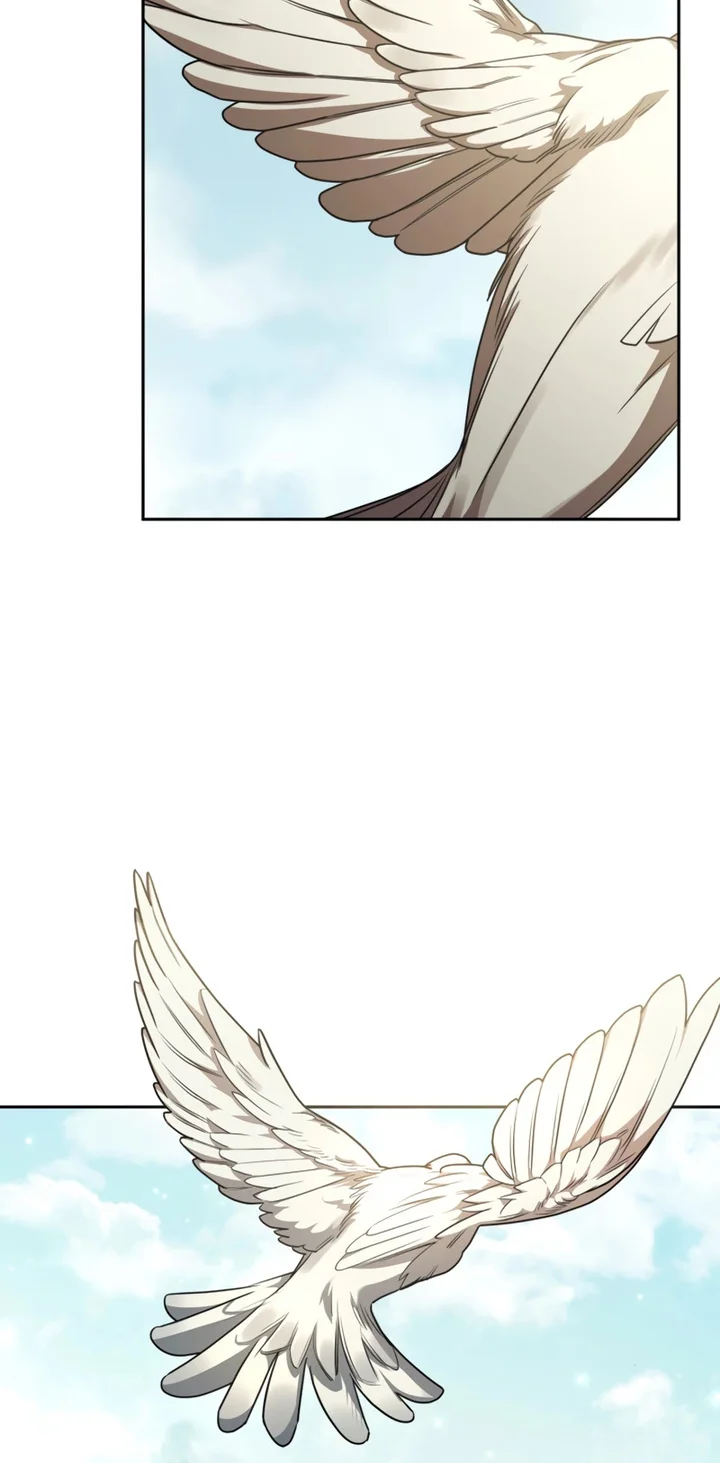 Read The Infinite Mage PT Manga Online