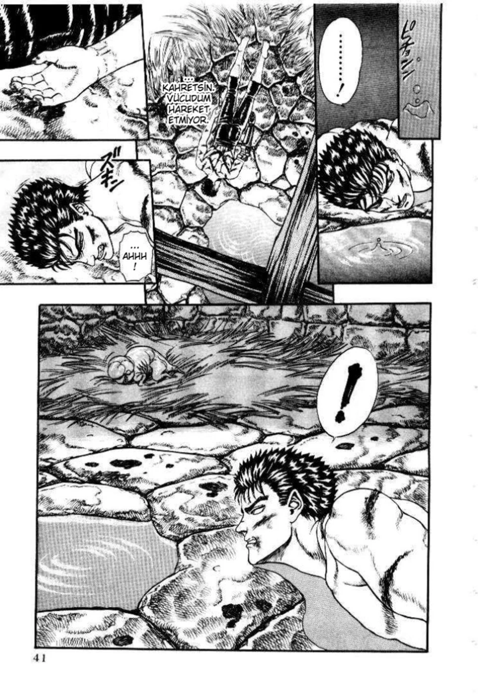 Read Berserk TR Manga Online