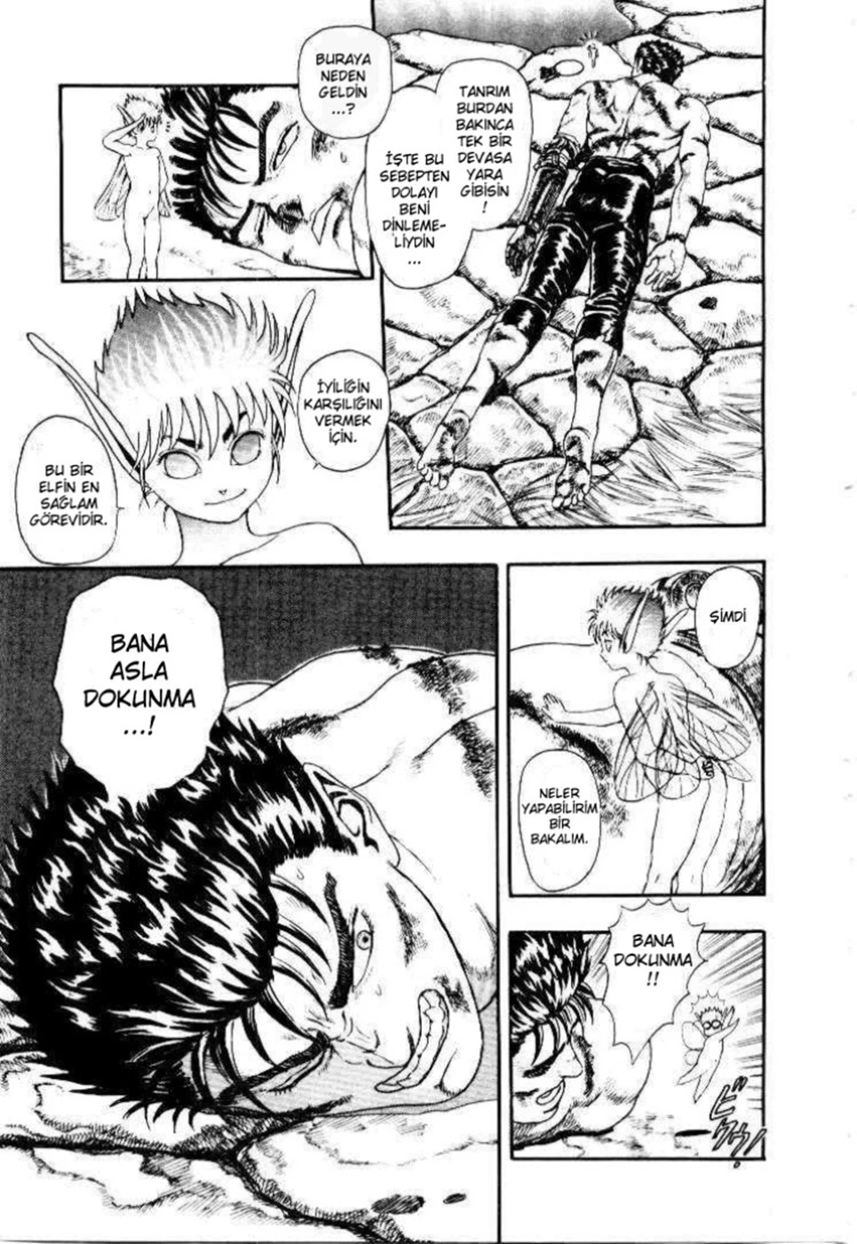 Read Berserk TR Manga Online