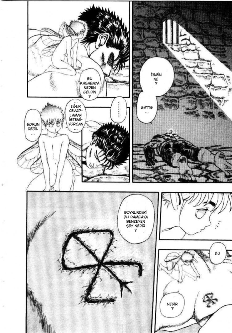 Read Berserk TR Manga Online