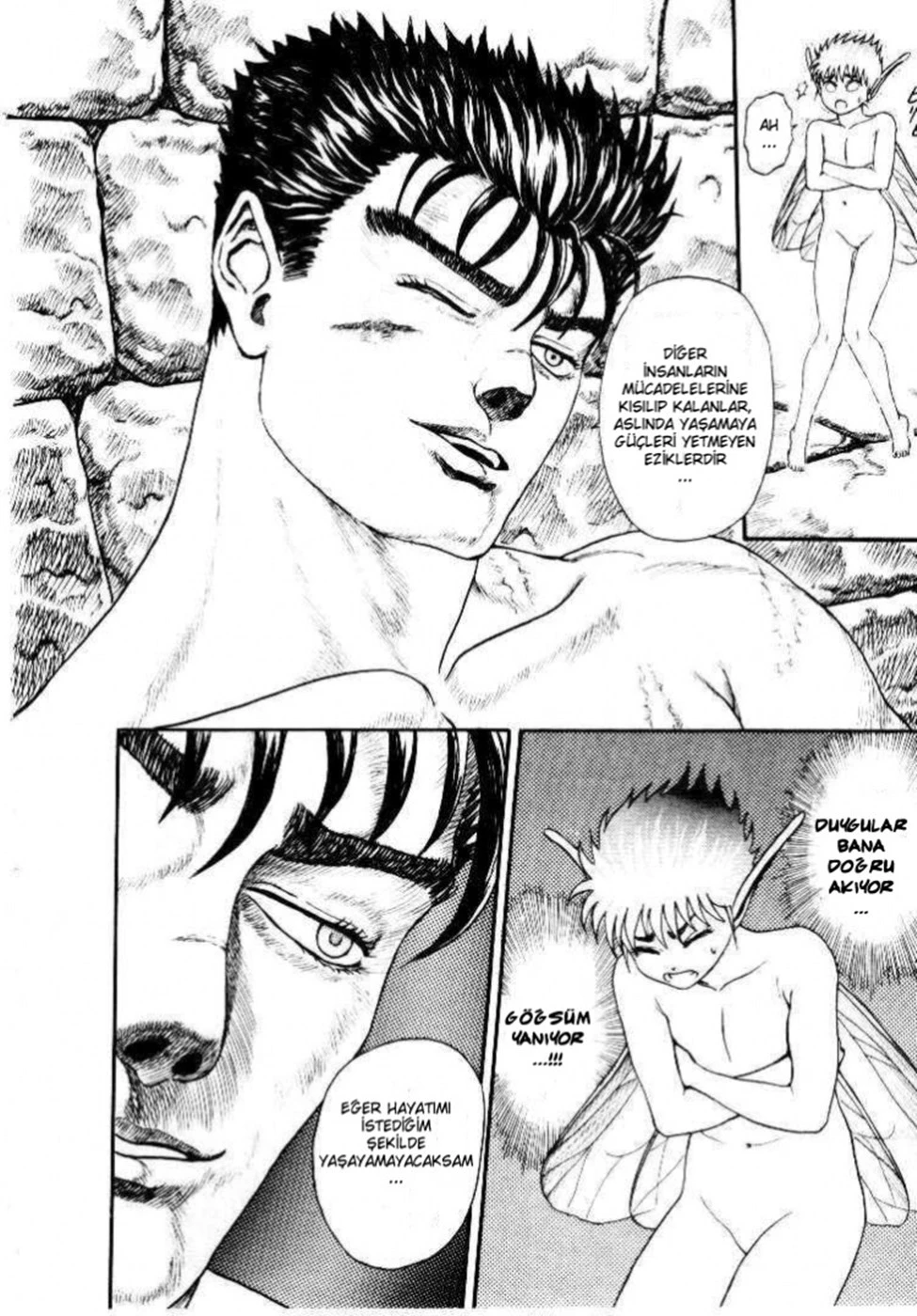 Read Berserk TR Manga Online