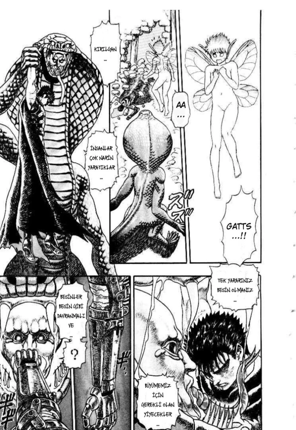 Read Berserk TR Manga Online