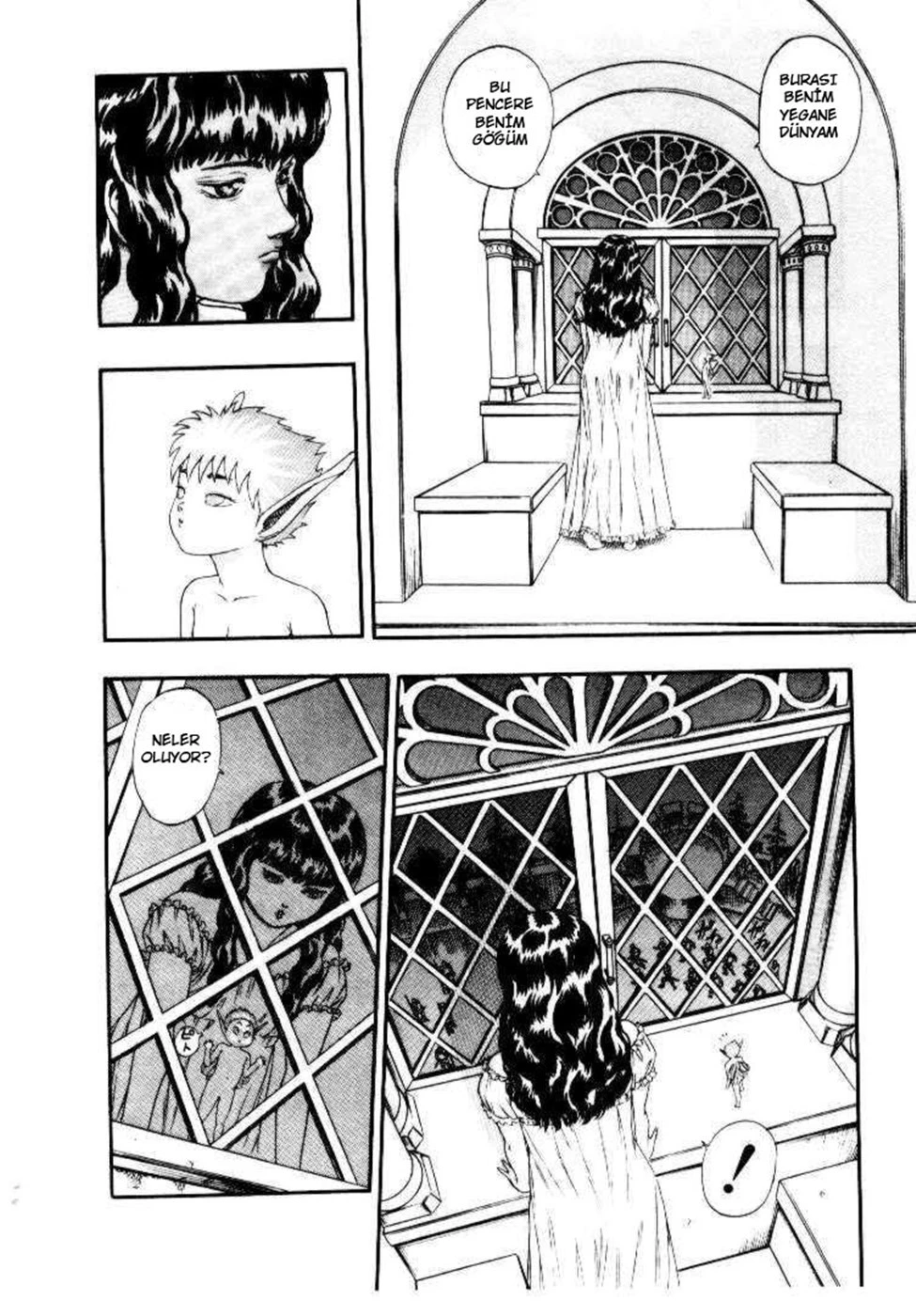 Read Berserk TR Manga Online