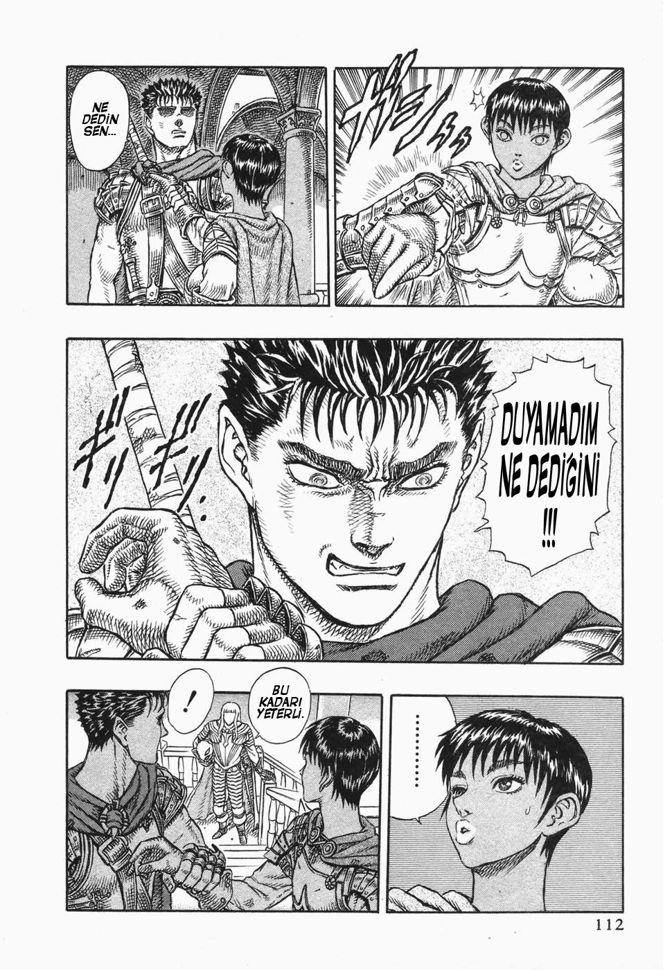 Read Berserk TR Manga Online