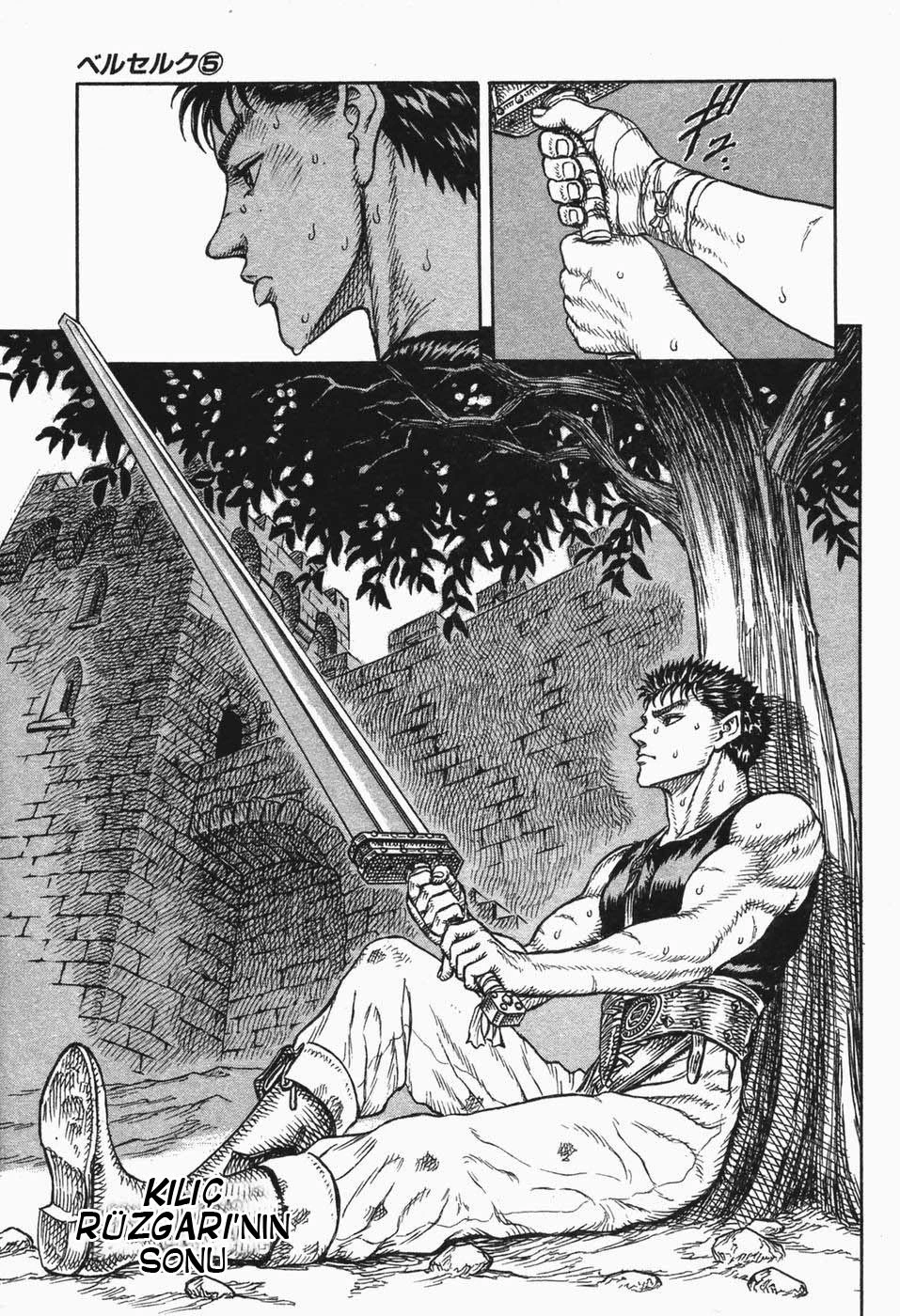 Read Berserk TR Manga Online