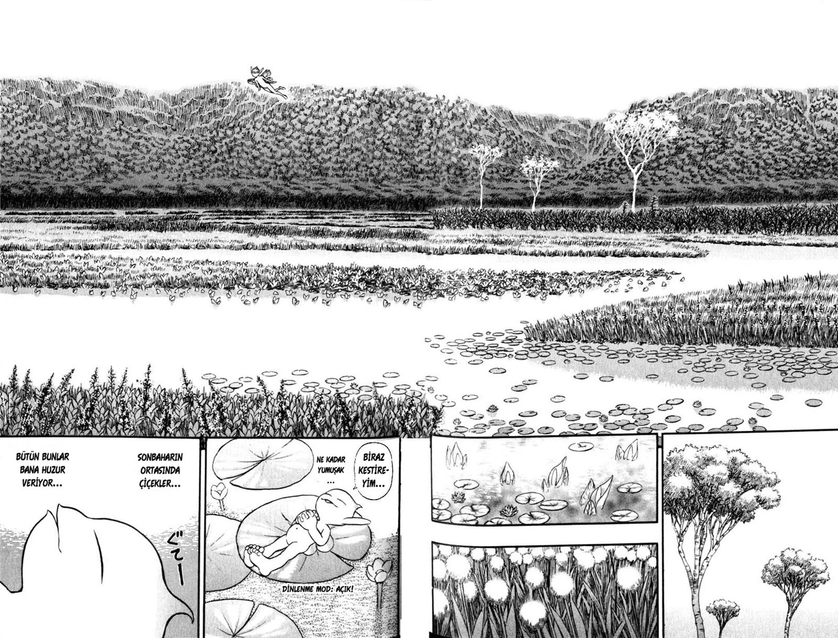 Read Berserk TR Manga Online