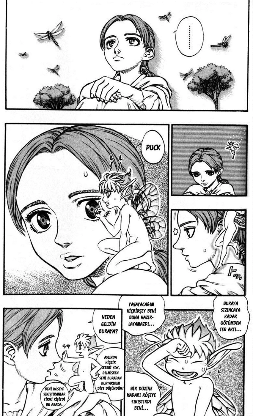 Read Berserk TR Manga Online
