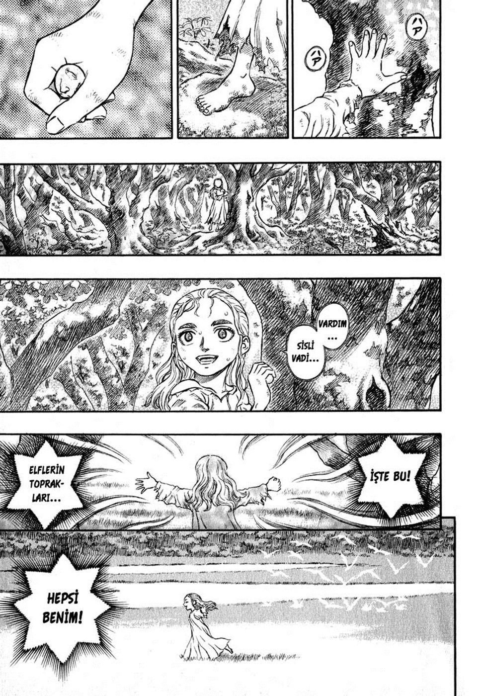 Read Berserk TR Manga Online