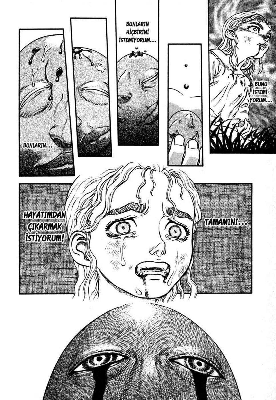 Read Berserk TR Manga Online