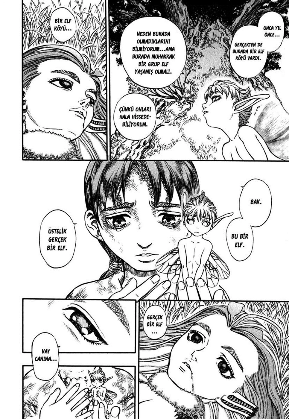 Read Berserk TR Manga Online