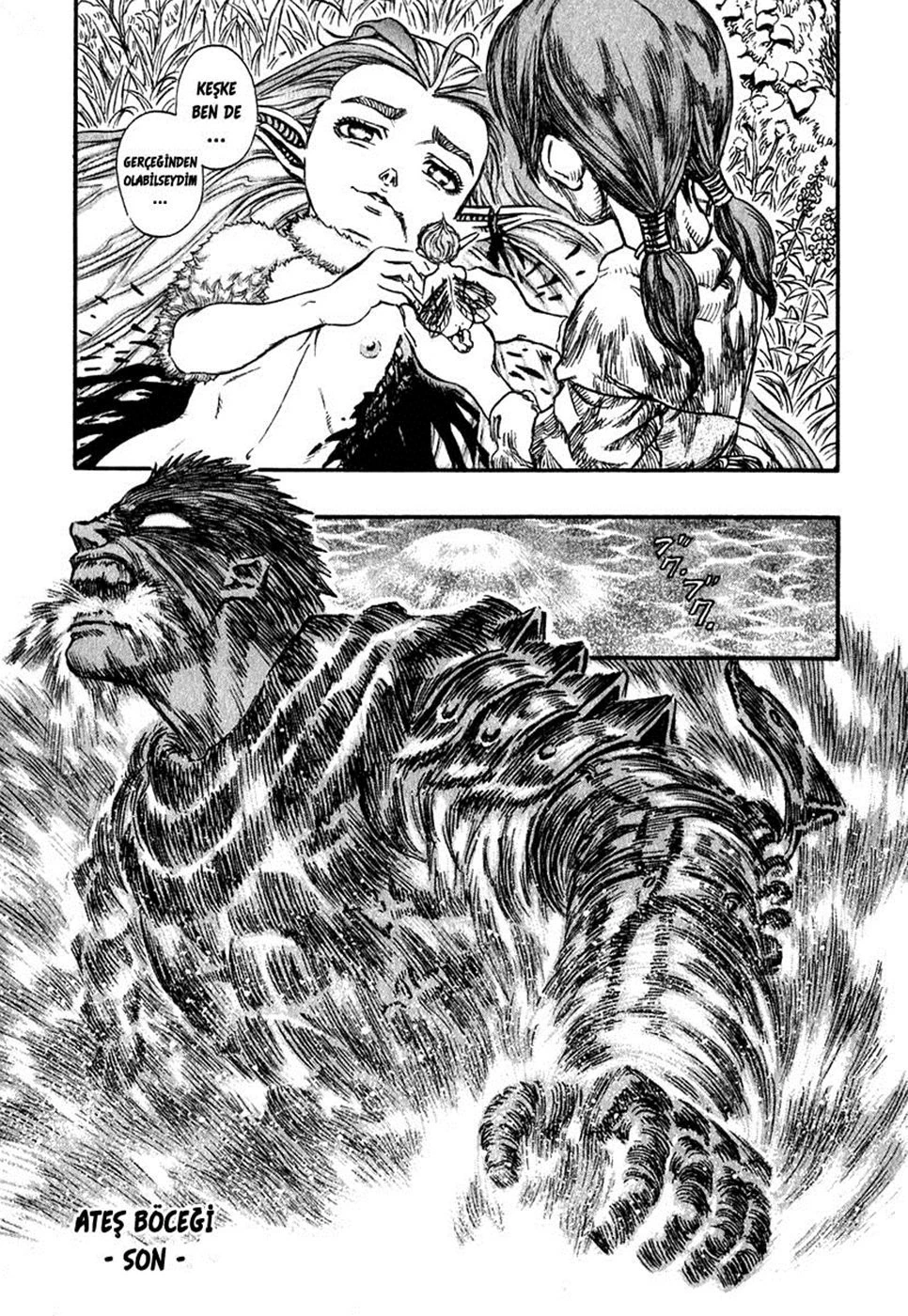 Read Berserk TR Manga Online