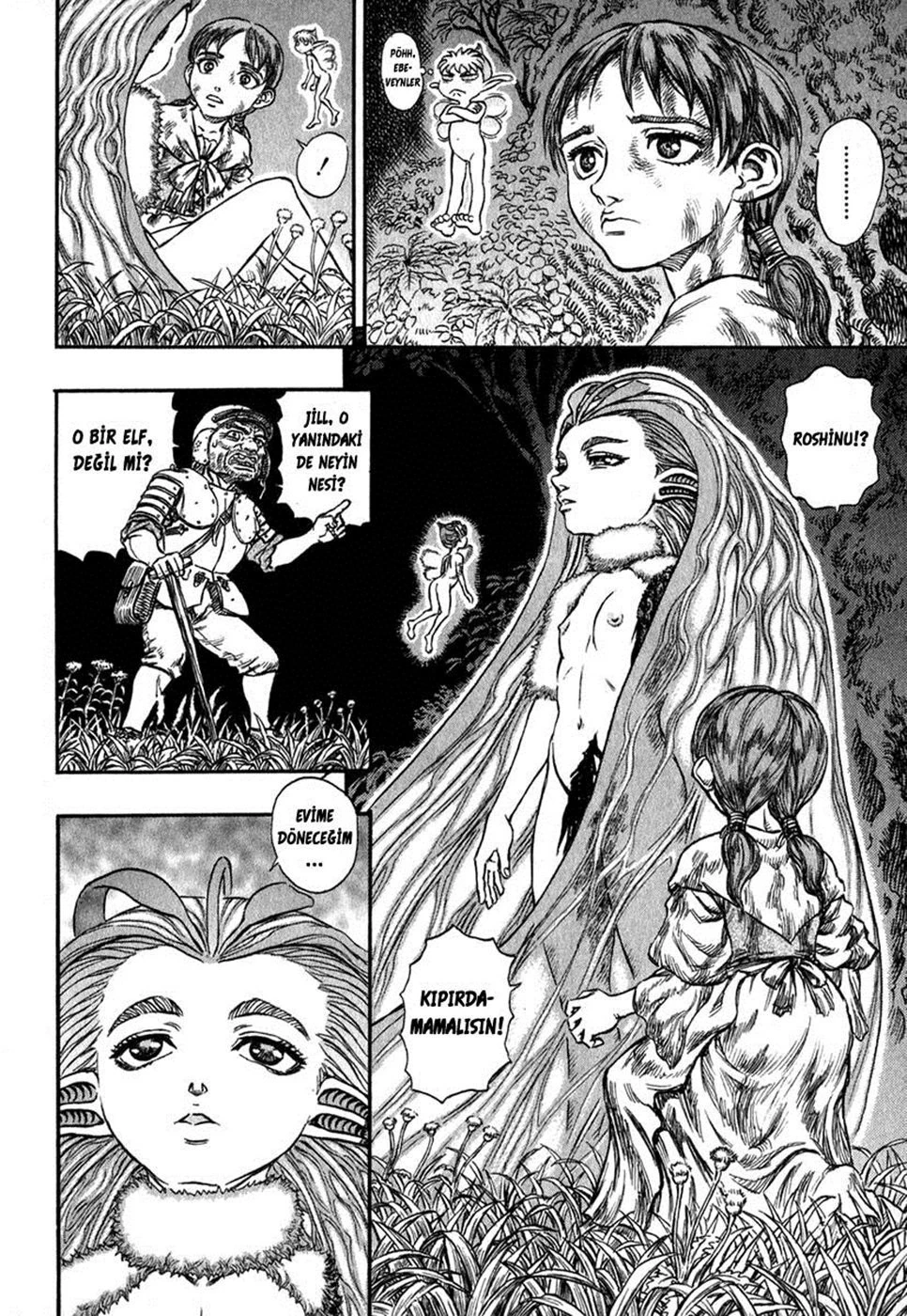 Read Berserk TR Manga Online