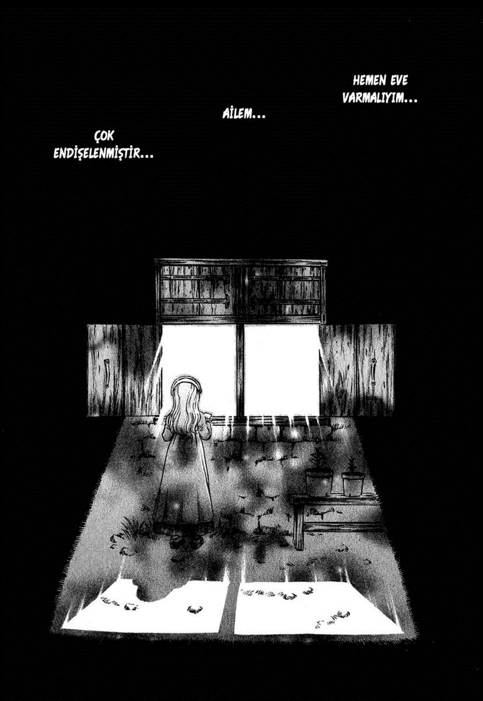 Read Berserk TR Manga Online