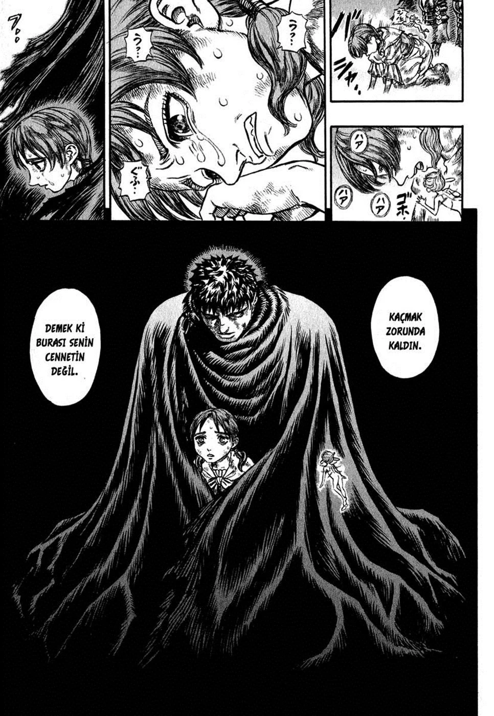 Read Berserk TR Manga Online