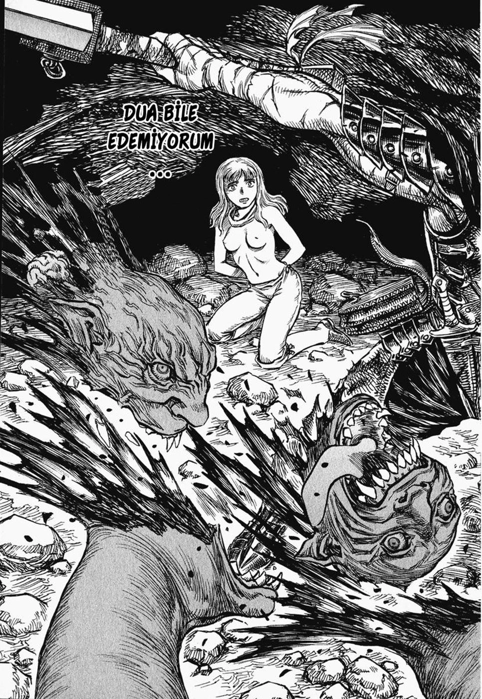 Read Berserk TR Manga Online