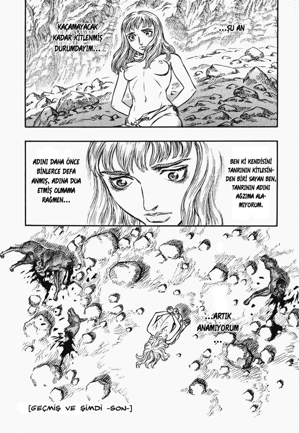 Read Berserk TR Manga Online