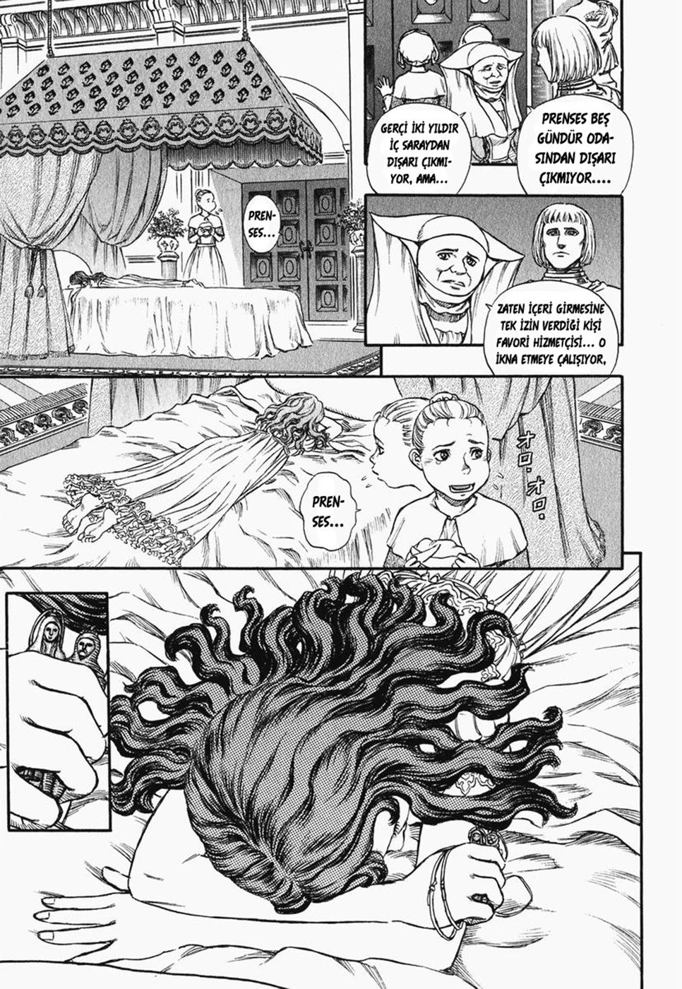 Read Berserk TR Manga Online