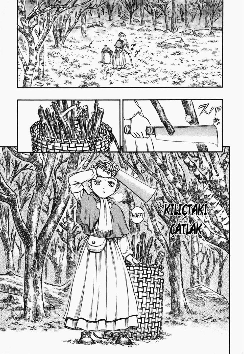 Read Berserk TR Manga Online