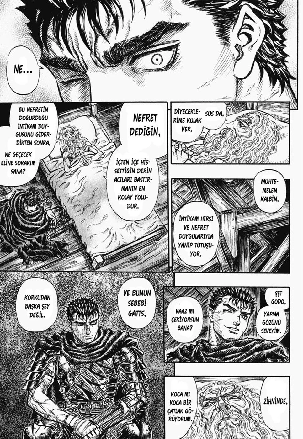 Read Berserk TR Manga Online