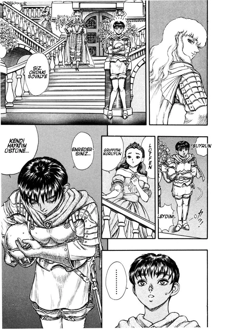 Read Berserk TR Manga Online