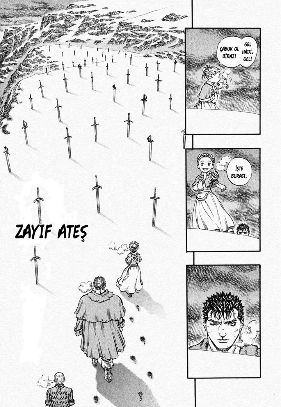 Read Berserk TR Manga Online