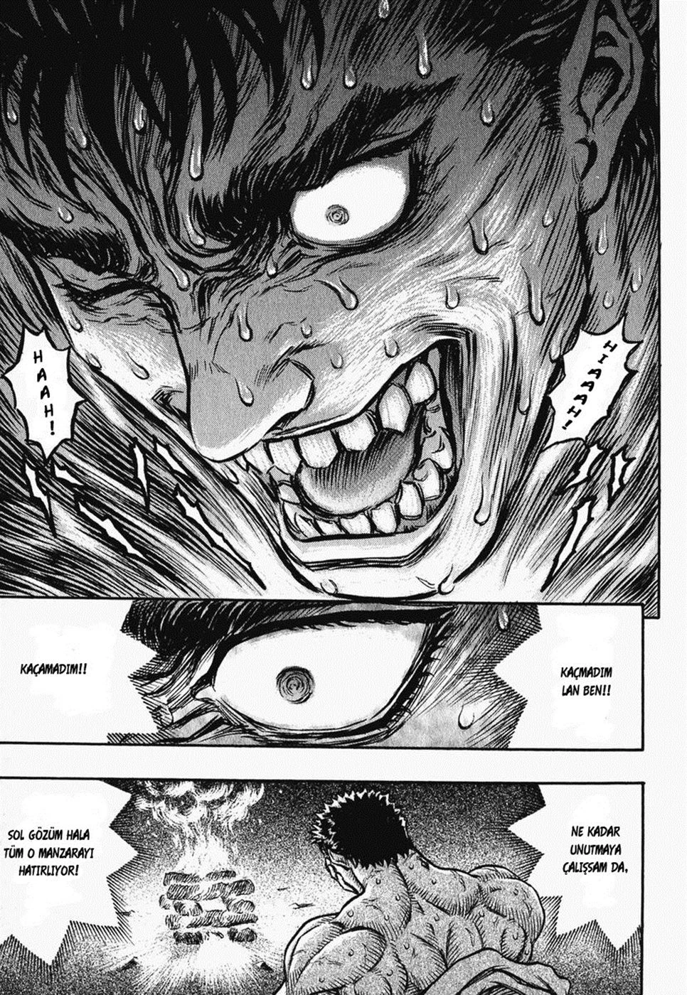 Read Berserk TR Manga Online