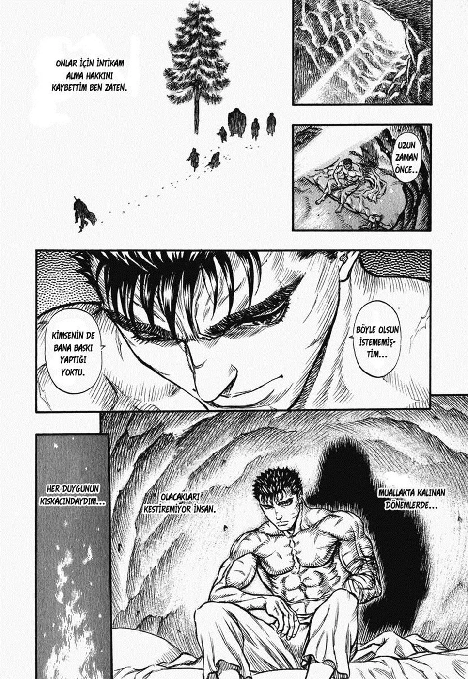 Read Berserk TR Manga Online