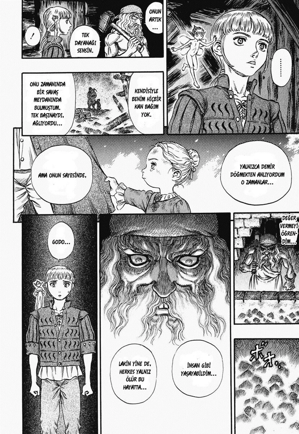 Read Berserk TR Manga Online