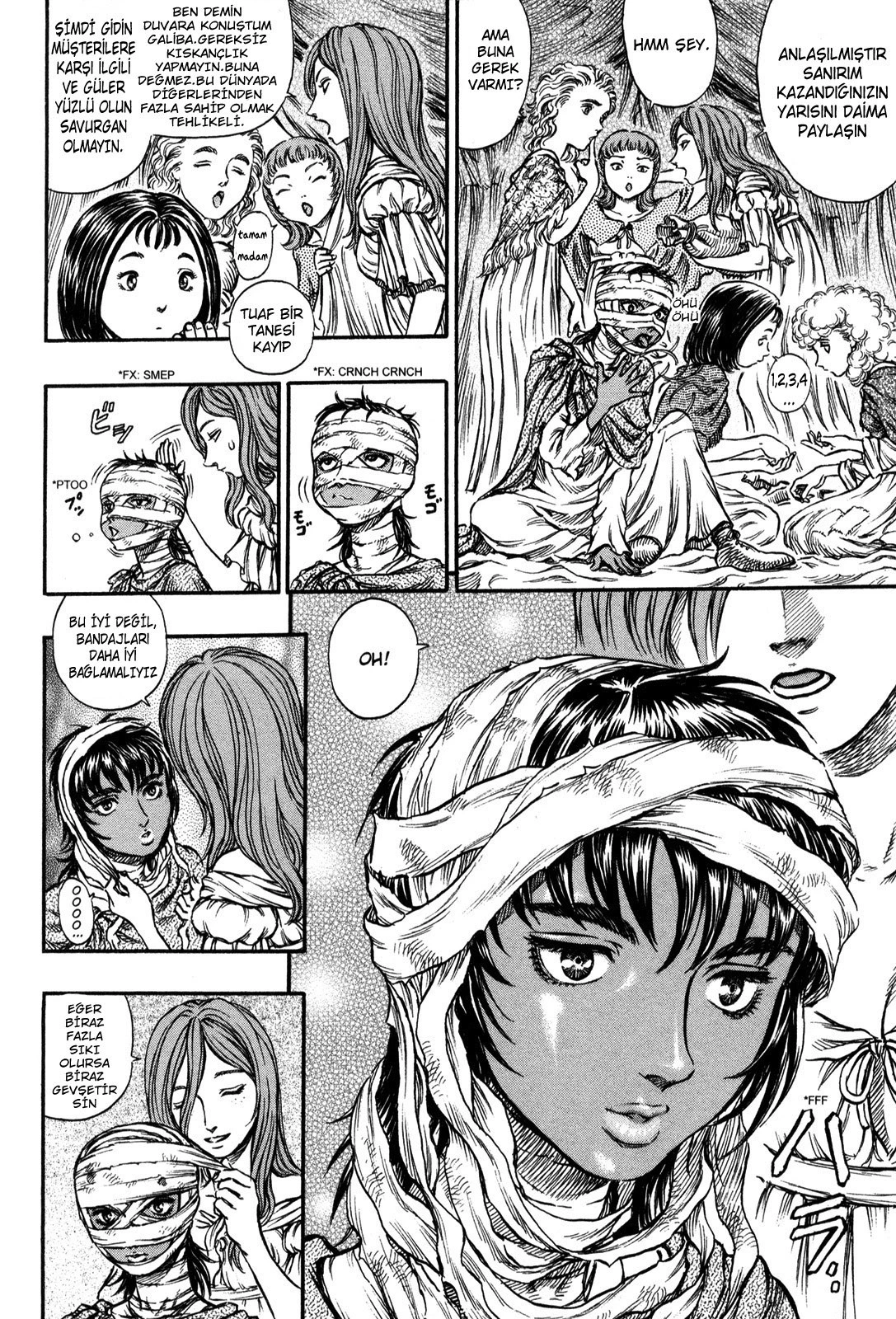 Read Berserk TR Manga Online
