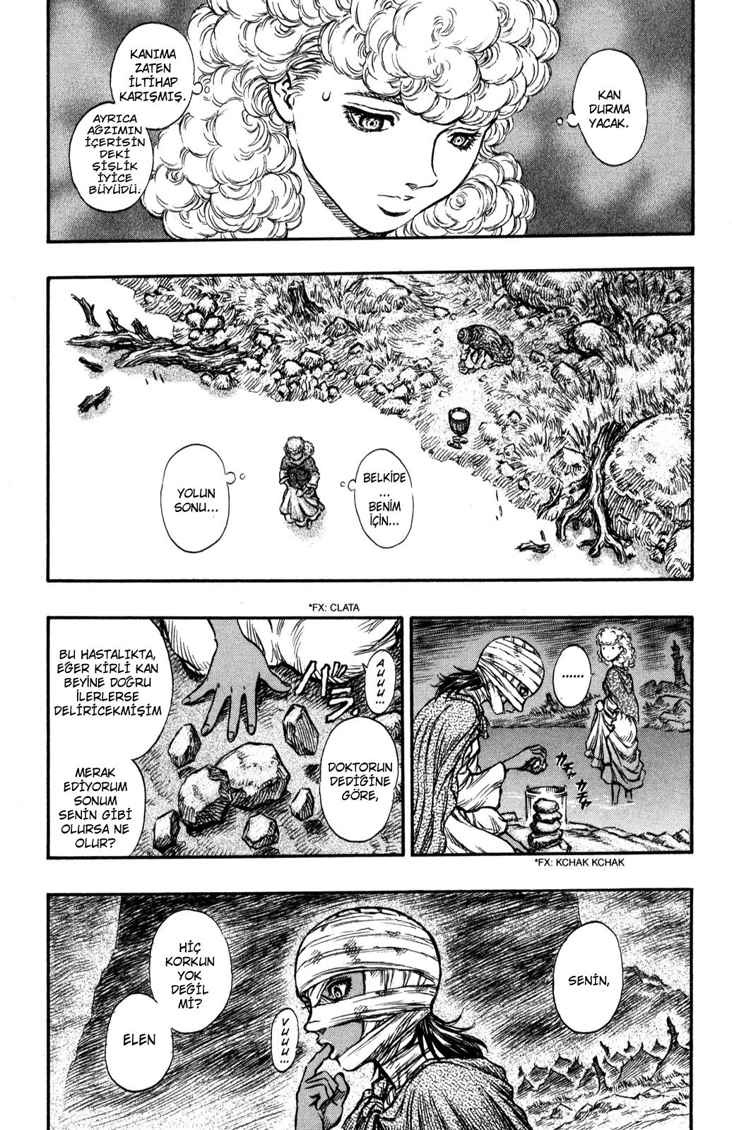 Read Berserk TR Manga Online