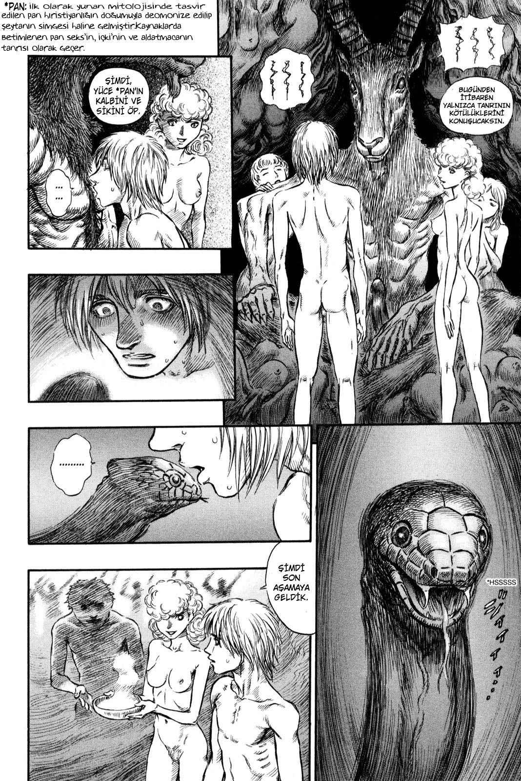 Read Berserk TR Manga Online