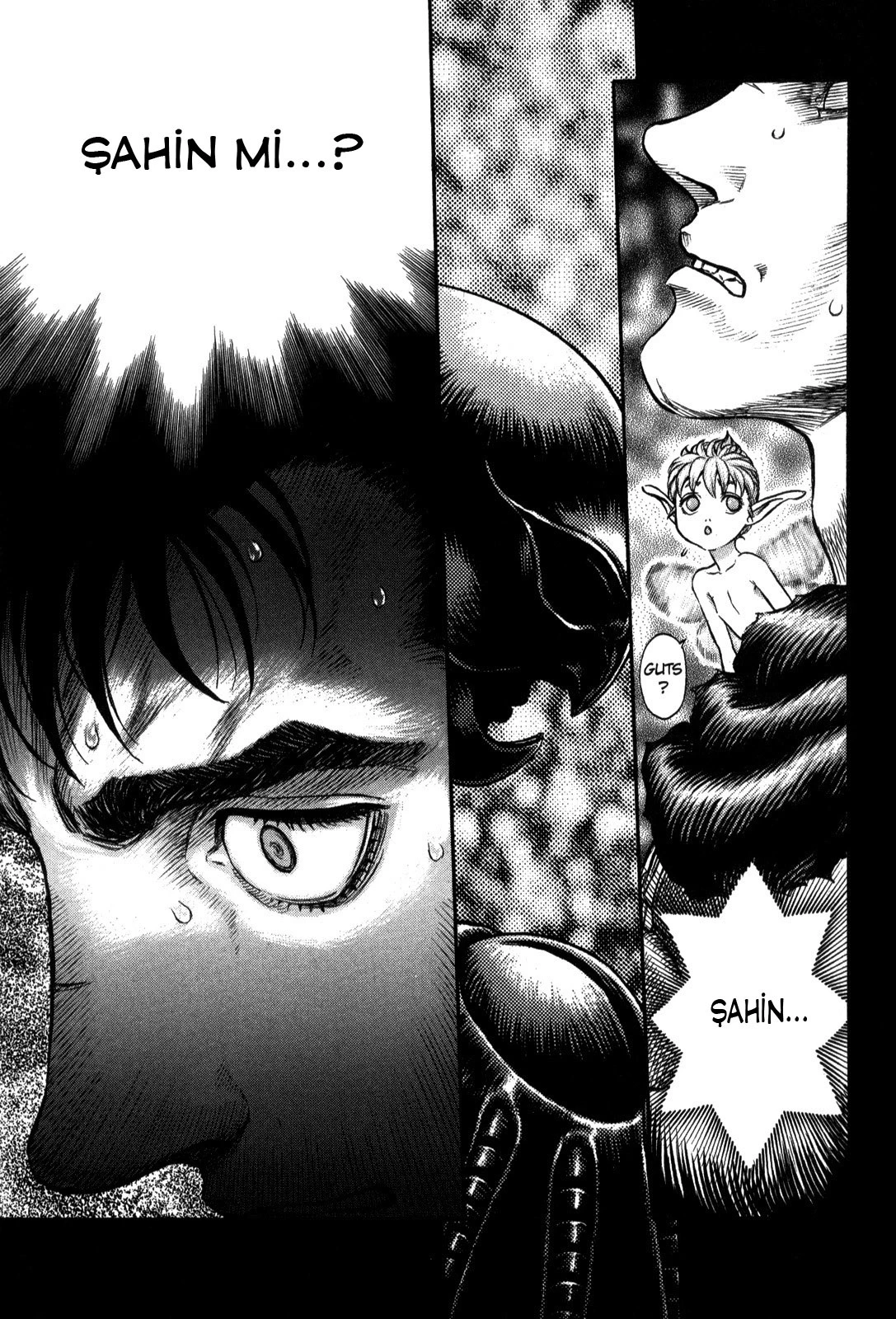 Read Berserk TR Manga Online