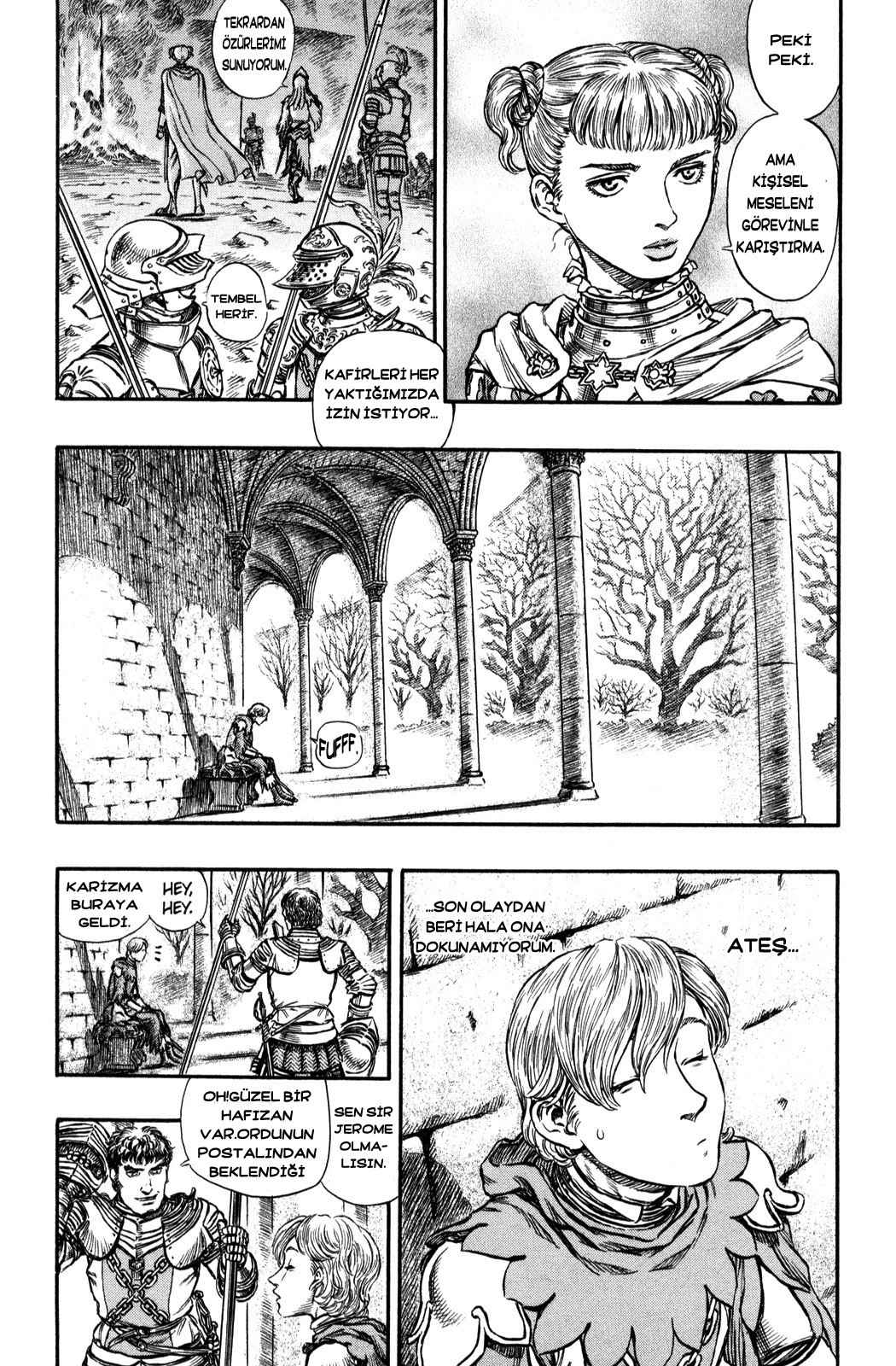 Read Berserk TR Manga Online