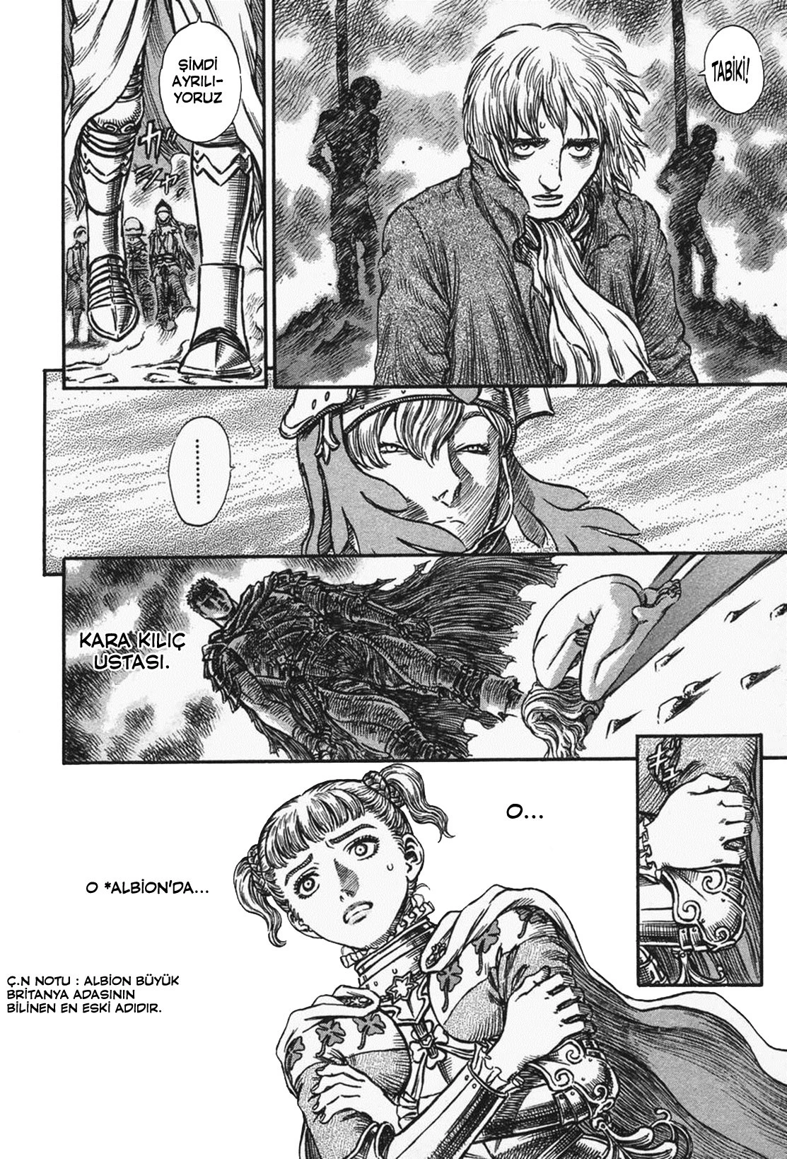 Read Berserk TR Manga Online
