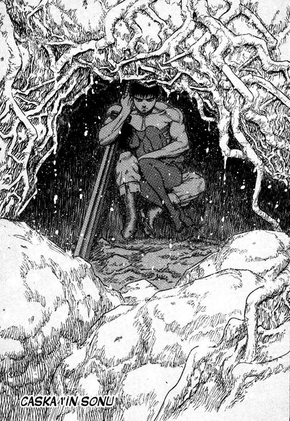 Read Berserk TR Manga Online