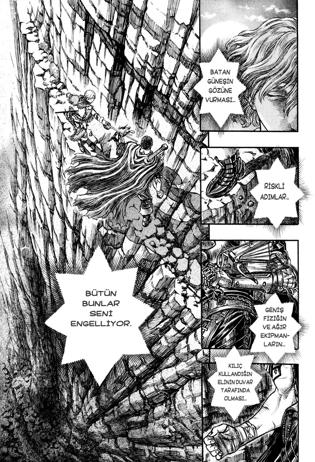 Read Berserk TR Manga Online