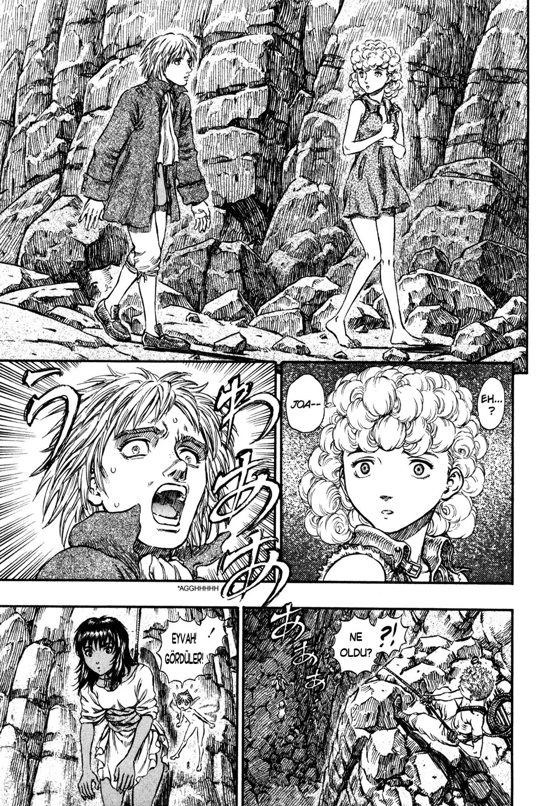 Read Berserk TR Manga Online