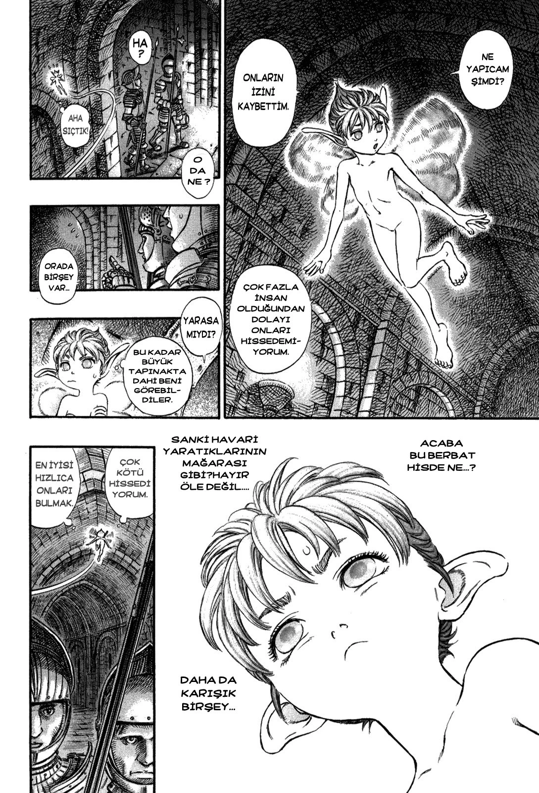 Read Berserk TR Manga Online