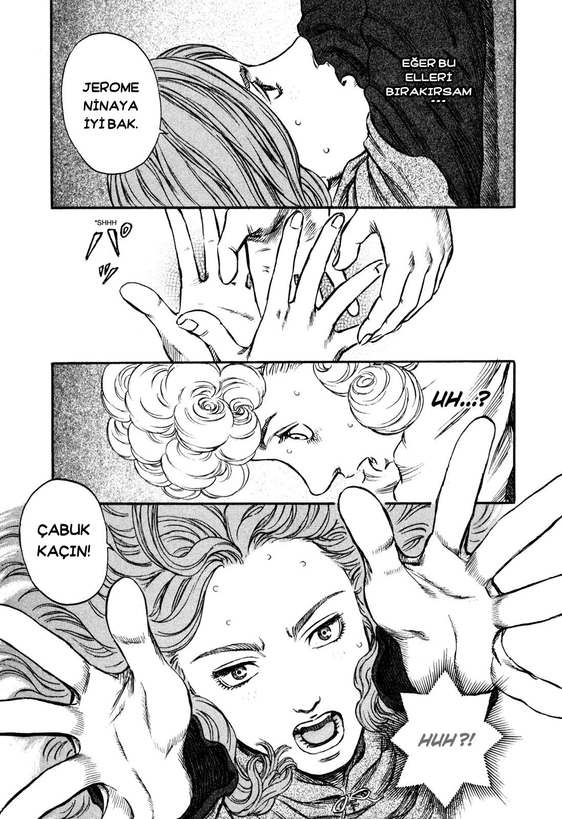 Read Berserk TR Manga Online