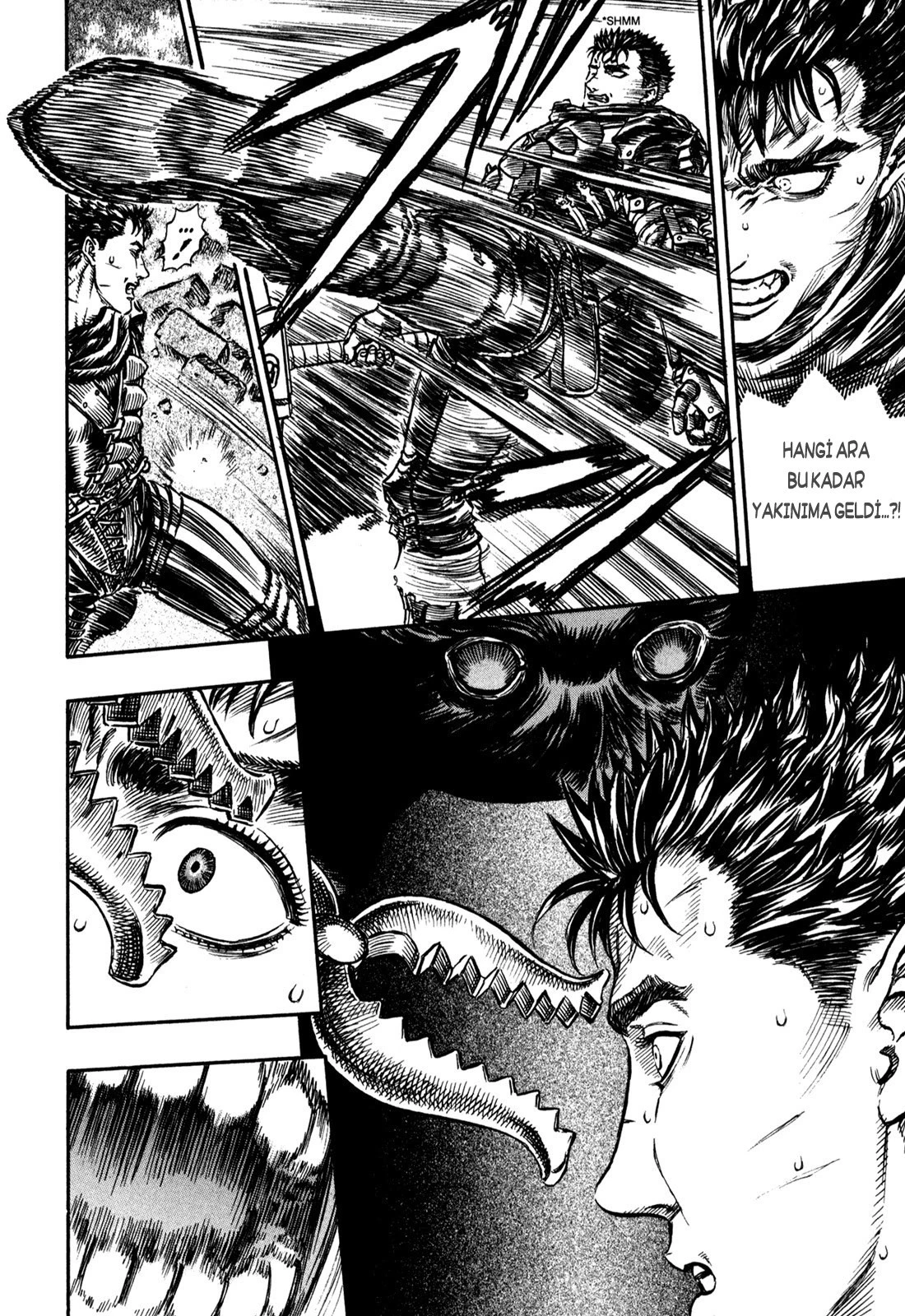 Read Berserk TR Manga Online