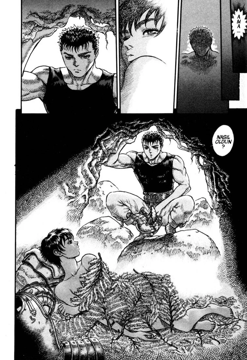 Read Berserk TR Manga Online