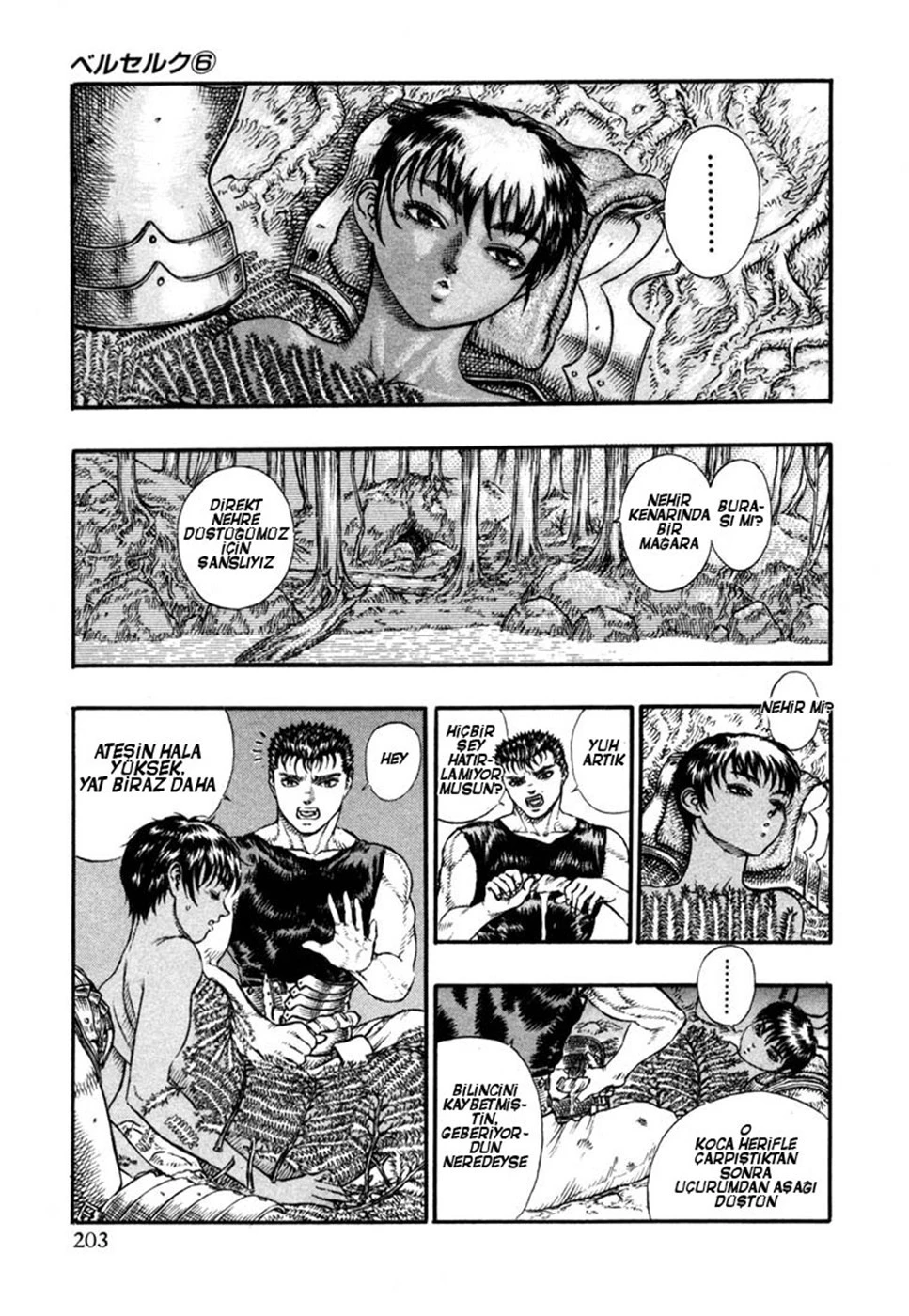 Read Berserk TR Manga Online