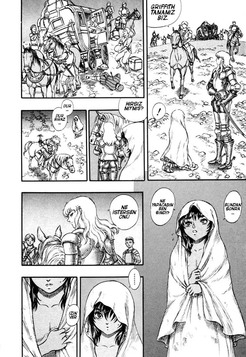 Read Berserk TR Manga Online