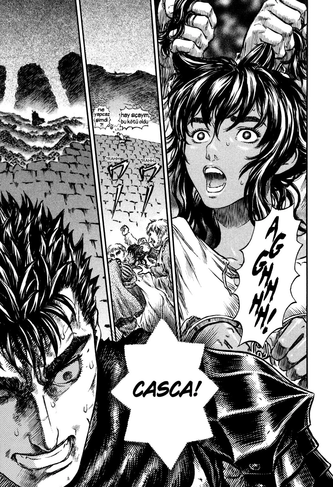 Read Berserk TR Manga Online