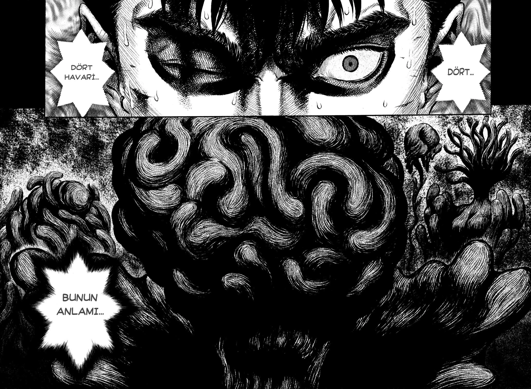 Read Berserk TR Manga Online