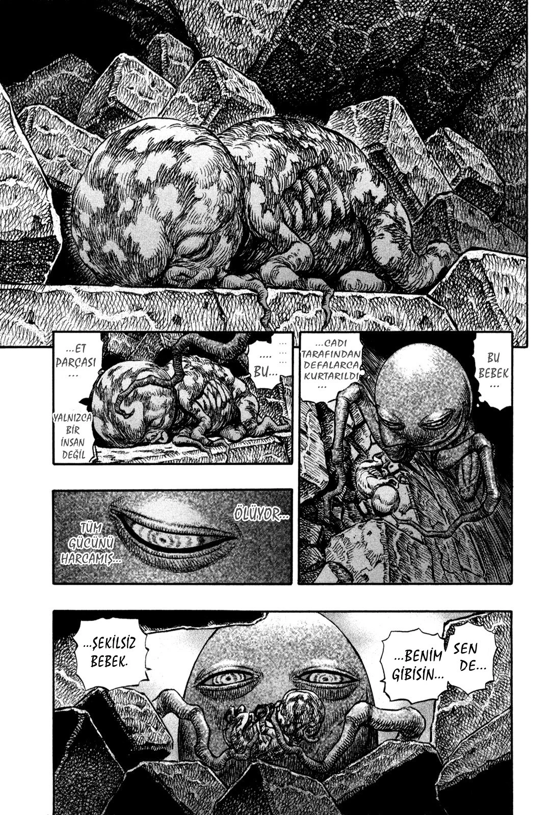 Read Berserk TR Manga Online