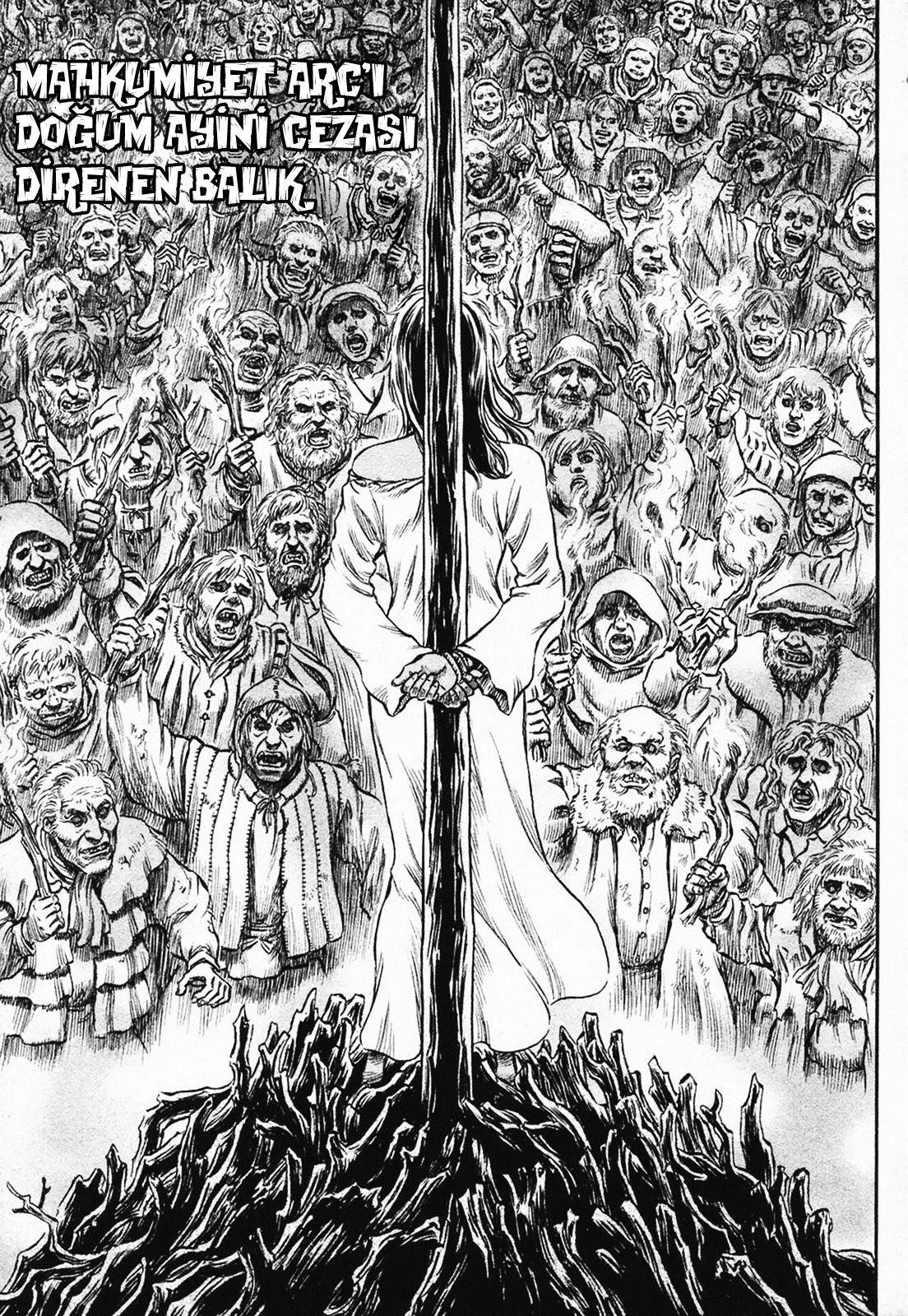 Read Berserk TR Manga Online