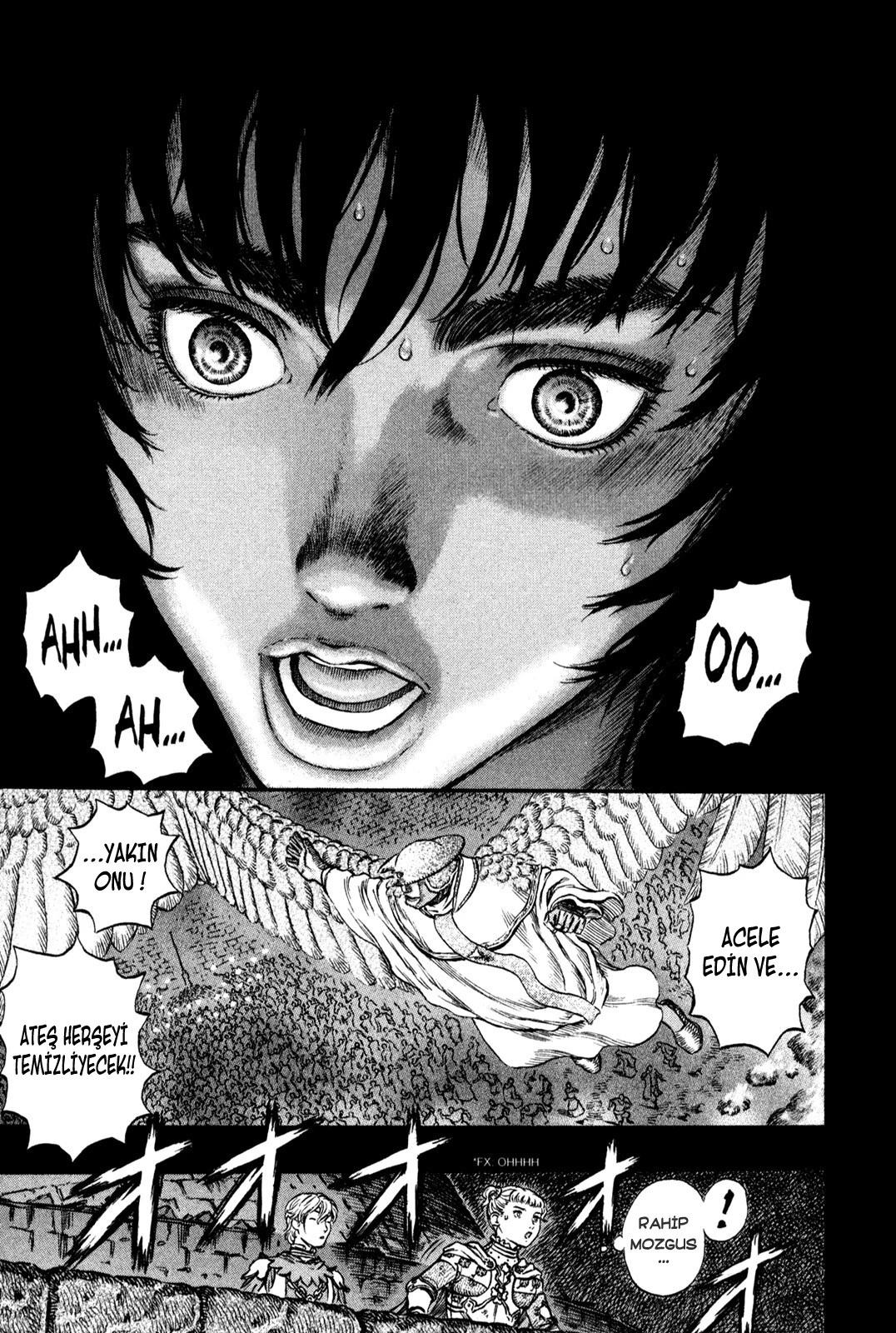 Read Berserk TR Manga Online