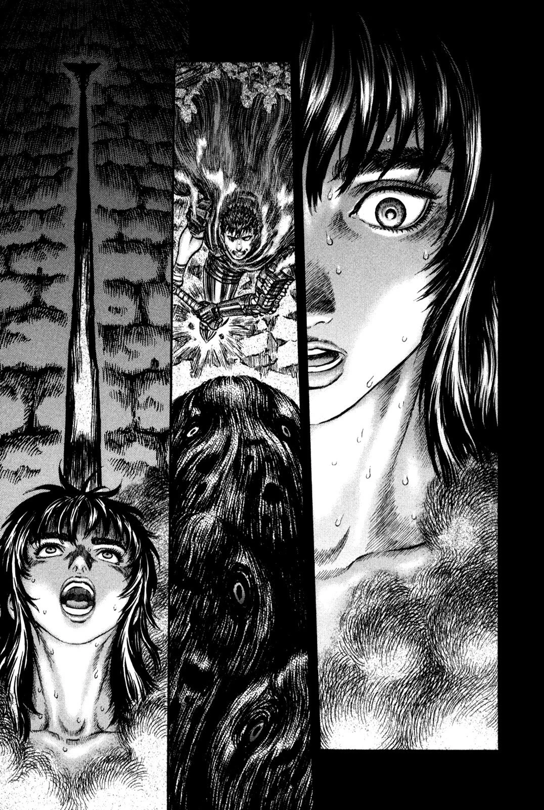 Read Berserk TR Manga Online