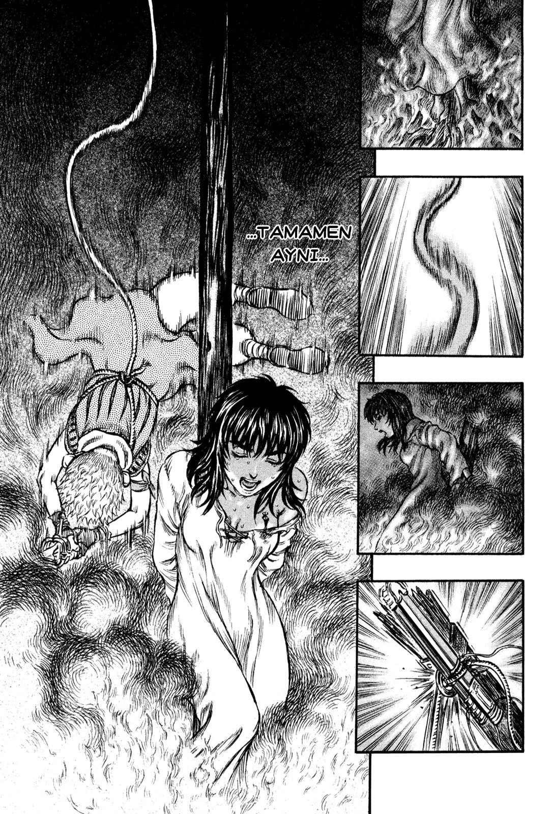Read Berserk TR Manga Online